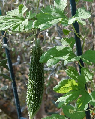 377.JPG (242.27 KiB) Osservato 563 volte 377.JPG