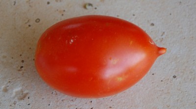 387.JPG (109.32 KiB) Osservato 623 volte 387.JPG