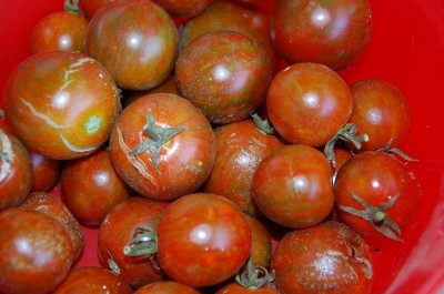 388.JPG (188.21 KiB) Osservato 623 volte 388.JPG