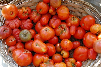 389.JPG (228.19 KiB) Osservato 623 volte 389.JPG