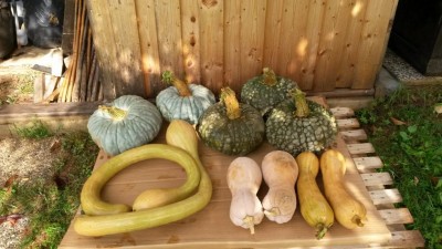 232.jpg (98.52 KiB) Osservato 624 volte 232.jpg