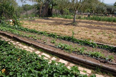 10.JPG (371.28 KiB) Osservato 714 volte 10.JPG