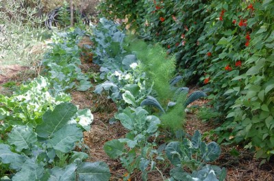 437.JPG (168.72 KiB) Osservato 667 volte 437.JPG