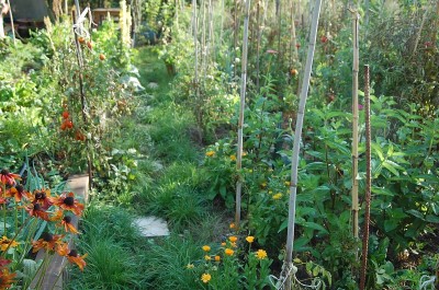 441.JPG (307.64 KiB) Osservato 665 volte 441.JPG