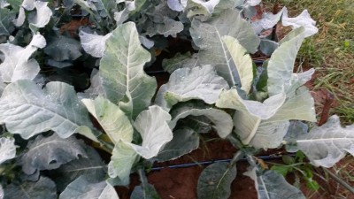 234.jpg (94.27 KiB) Osservato 670 volte 234.jpg