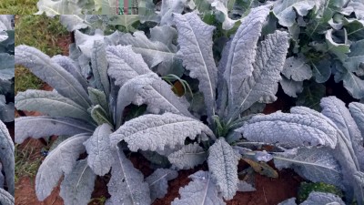 236.jpg (115.87 KiB) Osservato 670 volte 236.jpg