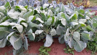 239.jpg (105.74 KiB) Osservato 667 volte 239.jpg