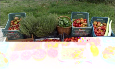 15092017raccolto.jpg (213.37 KiB) Osservato 509 volte 15092017raccolto.jpg