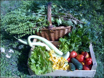 18092017raccolto.jpg (346.05 KiB) Osservato 509 volte 18092017raccolto.jpg