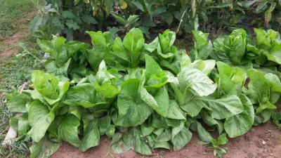 241.jpg (121.35 KiB) Osservato 818 volte 241.jpg