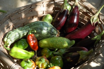 469.JPG (227.48 KiB) Osservato 693 volte 469.JPG