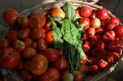 470.JPG (199.37 KiB) Osservato 693 volte 470.JPG