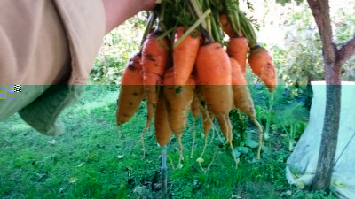 248.jpg (93.95 KiB) Osservato 657 volte 248.jpg