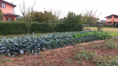 250.jpg (118.94 KiB) Osservato 657 volte 250.jpg