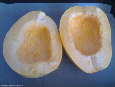 22092017zucca-spaghetti.jpg (182.69 KiB) Osservato 487 volte 22092017zucca-spaghetti.jpg