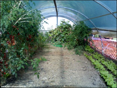 22092017serra.jpg (282.12 KiB) Osservato 485 volte 22092017serra.jpg