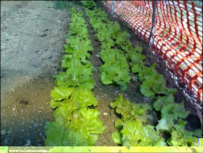 22092017canasta.jpg (297.15 KiB) Osservato 485 volte 22092017canasta.jpg