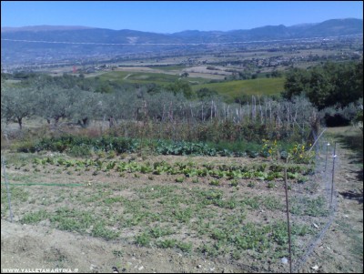 22092017orto-casa.jpg (249.05 KiB) Osservato 485 volte 22092017orto-casa.jpg