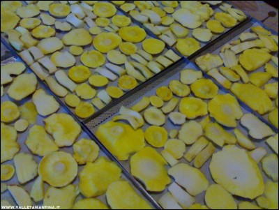 25092017funghi-essiccatore.jpg (246.81 KiB) Osservato 484 volte 25092017funghi-essiccatore.jpg