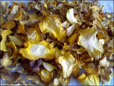 26092017funghi-essiccati.jpg (234.66 KiB) Osservato 484 volte 26092017funghi-essiccati.jpg