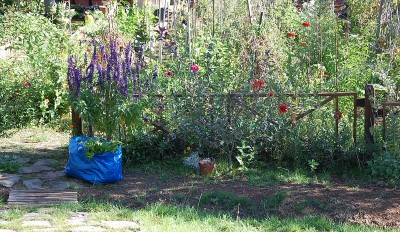 474.JPG (334.77 KiB) Osservato 643 volte 474.JPG