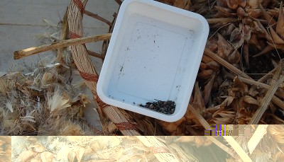 476.JPG (197.62 KiB) Osservato 629 volte 476.JPG