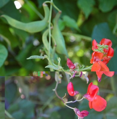 481.JPG (178.65 KiB) Osservato 621 volte 481.JPG