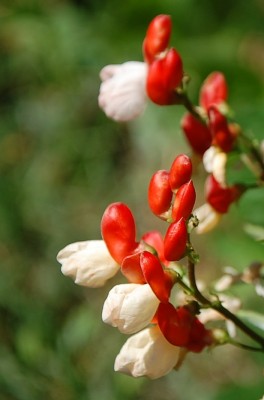 483.JPG (117.08 KiB) Osservato 621 volte 483.JPG