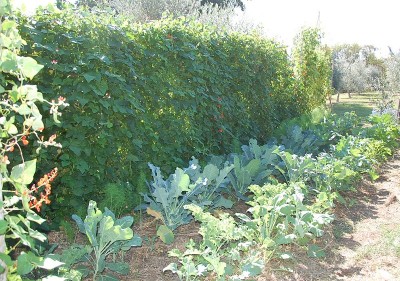 487.JPG (344.86 KiB) Osservato 561 volte 487.JPG