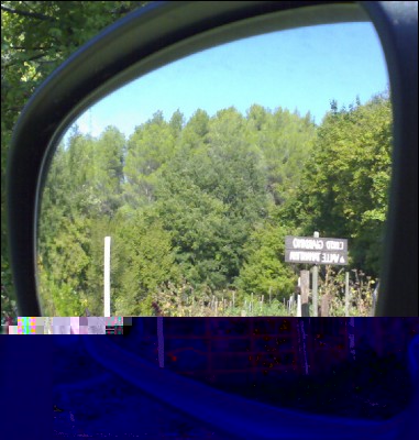 30092017orto-specchietto.jpg (278.4 KiB) Osservato 532 volte 30092017orto-specchietto.jpg