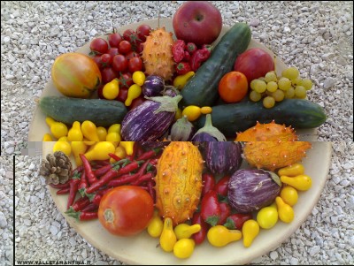 30092017multicolor.jpg (278.76 KiB) Osservato 531 volte 30092017multicolor.jpg