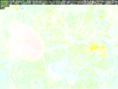 02102017dark-galaxy.jpg (284.41 KiB) Osservato 450 volte 02102017dark-galaxy.jpg