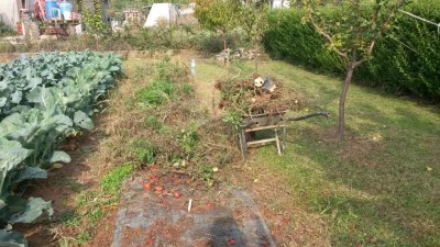 255.jpg (158.71 KiB) Osservato 525 volte 255.jpg