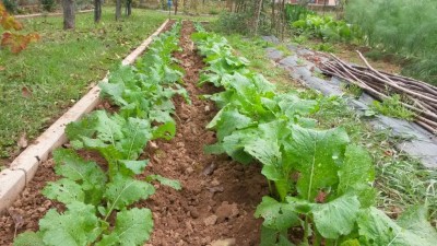 257.jpg (144.07 KiB) Osservato 525 volte 257.jpg