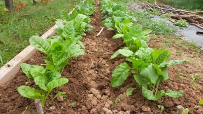 258.jpg (142.89 KiB) Osservato 525 volte 258.jpg