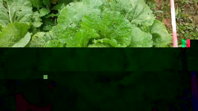 262.jpg (125.26 KiB) Osservato 524 volte 262.jpg