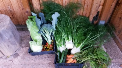 271.jpg (104.12 KiB) Osservato 575 volte 271.jpg