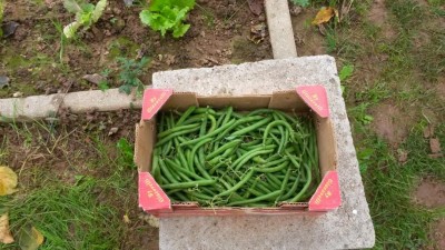 272.jpg (131.94 KiB) Osservato 575 volte 272.jpg