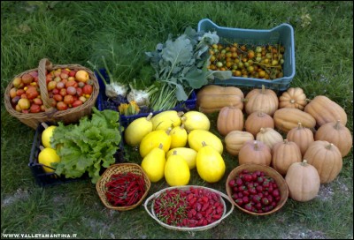 13102017raccolto.jpg (223.91 KiB) Osservato 519 volte 13102017raccolto.jpg