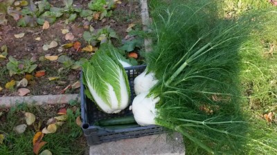 279.jpg (132.25 KiB) Osservato 542 volte 279.jpg