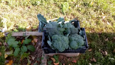 280.jpg (175.64 KiB) Osservato 542 volte 280.jpg