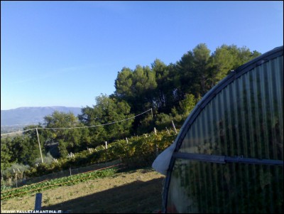 15102017panoramica.jpg (166.16 KiB) Osservato 476 volte 15102017panoramica.jpg