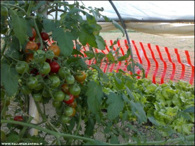 15102017serra2.jpg (218.03 KiB) Osservato 470 volte 15102017serra2.jpg