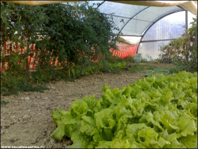 15102017serra3.jpg (235.18 KiB) Osservato 470 volte 15102017serra3.jpg