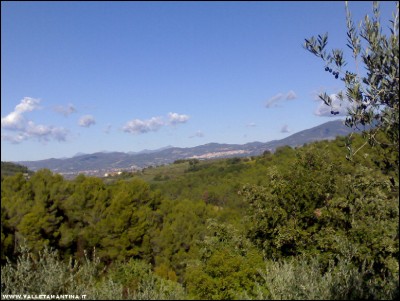 23102017Assisi.jpg (209 KiB) Osservato 545 volte 23102017Assisi.jpg