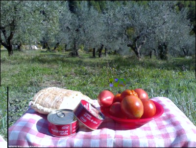 23102017pranzo.jpg (283.54 KiB) Osservato 646 volte 23102017pranzo.jpg