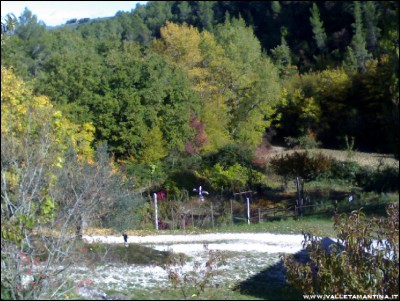 28102017orto.jpg (262.47 KiB) Osservato 568 volte 28102017orto.jpg