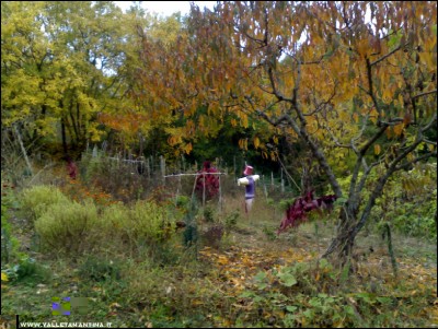 03112017orto-autunno2.jpg (283.8 KiB) Osservato 703 volte 03112017orto-autunno2.jpg