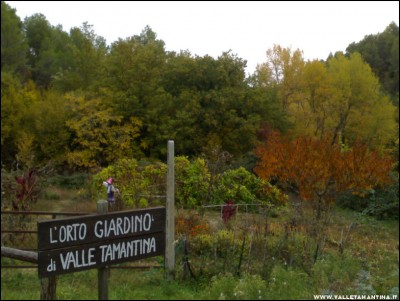 03112017orto-autunno.jpg (190.49 KiB) Osservato 703 volte 03112017orto-autunno.jpg