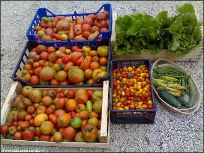 04112017raccolto.jpg (297.75 KiB) Osservato 703 volte 04112017raccolto.jpg